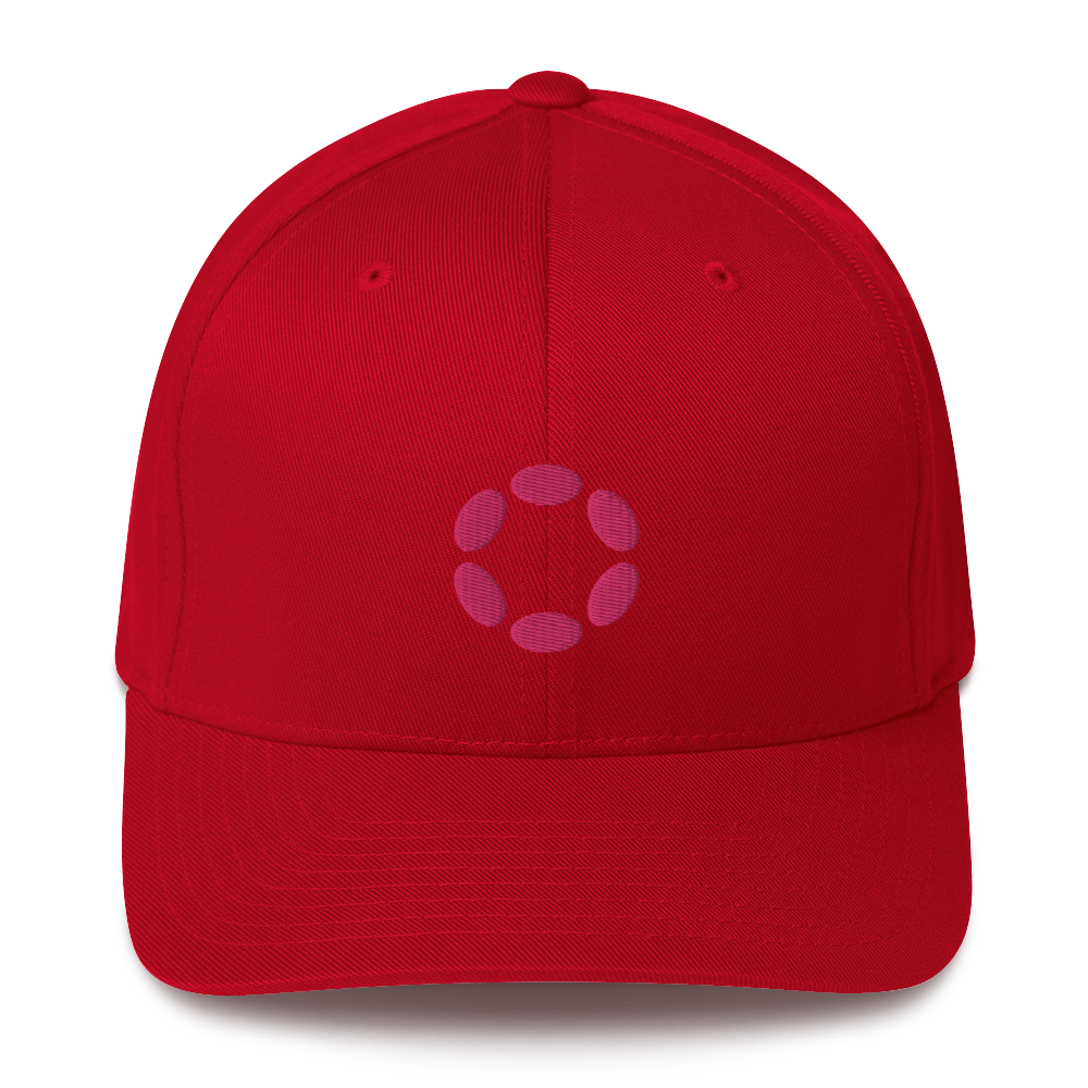 Polkadot DOT Structured Twill Cap