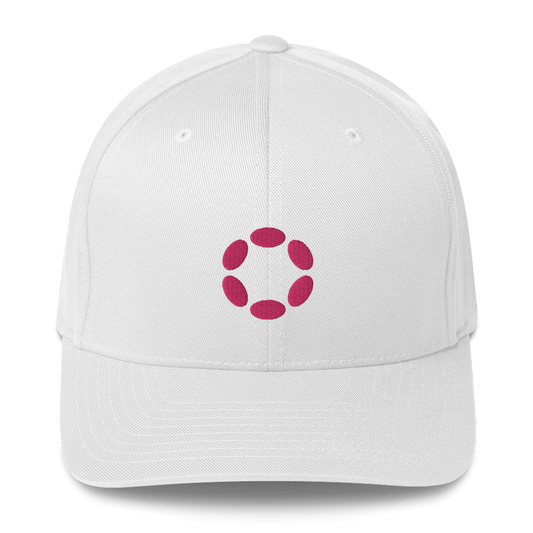 Polkadot DOT Structured Twill Cap