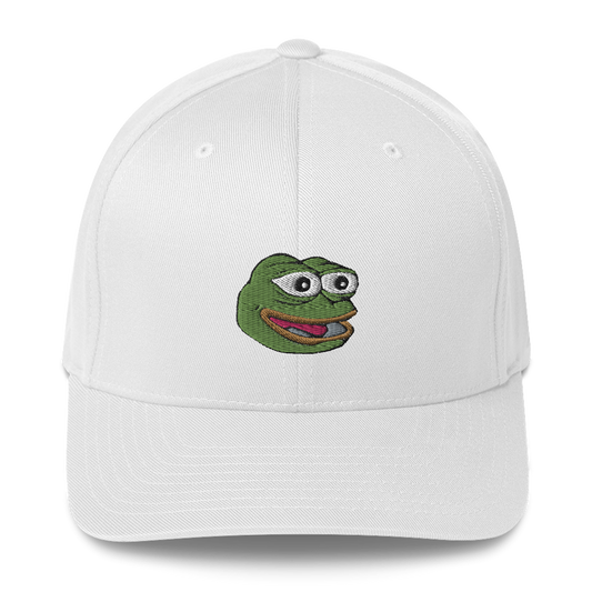 Pepe Coin PEPE Structured Twill Cap