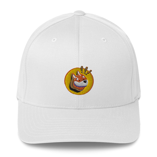 Bonk Coin BONK Structured Twill Cap